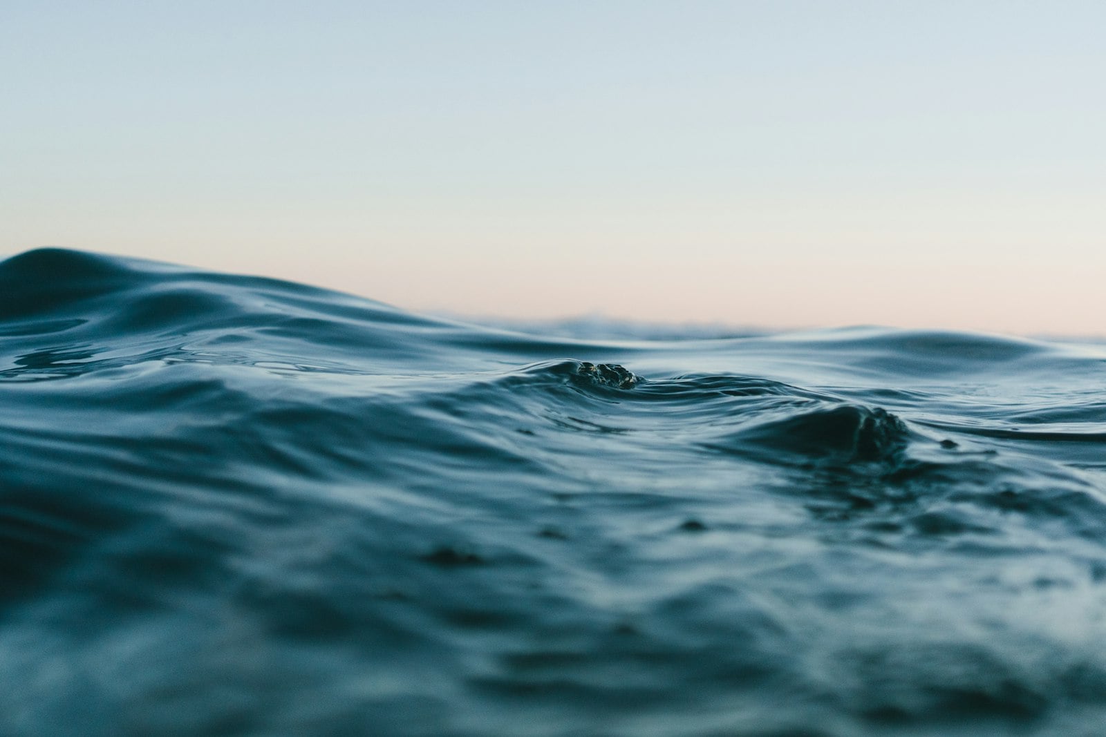 The Ocean Is Still Full Of Mysteries