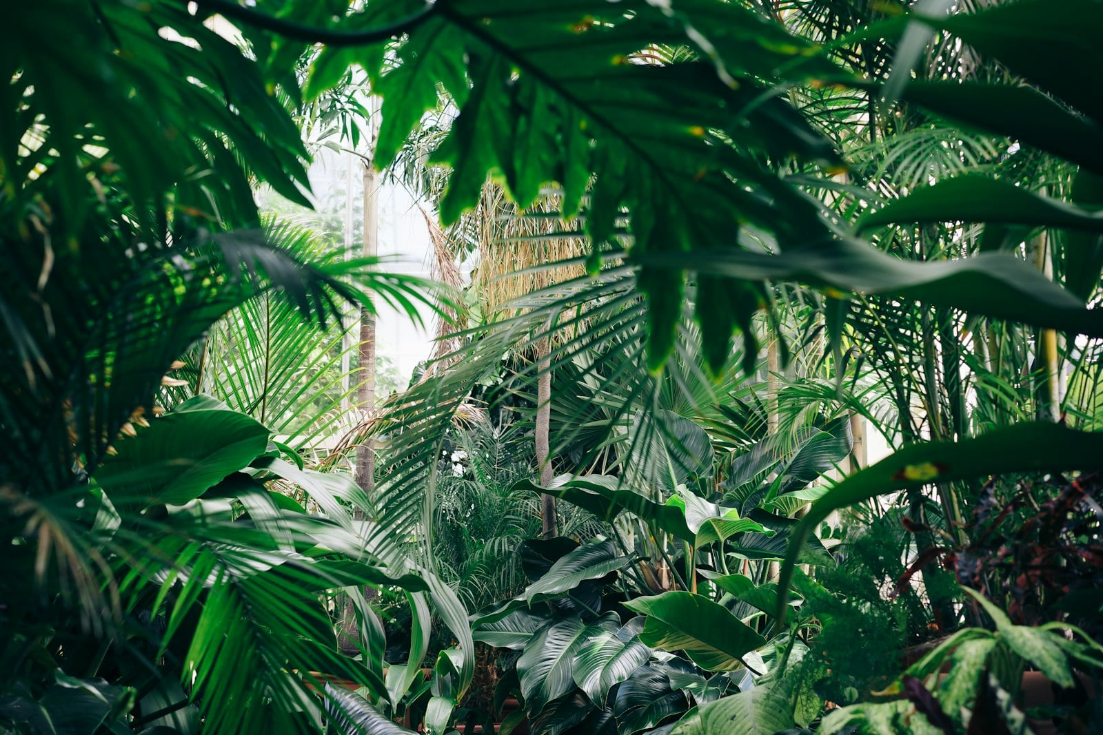 Plants Are Doing More Than Sitting There