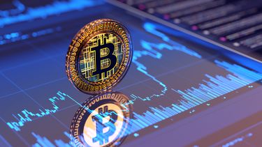 Bitcoin Barely Moved When Everything Else Did. Should We Pay Attention?