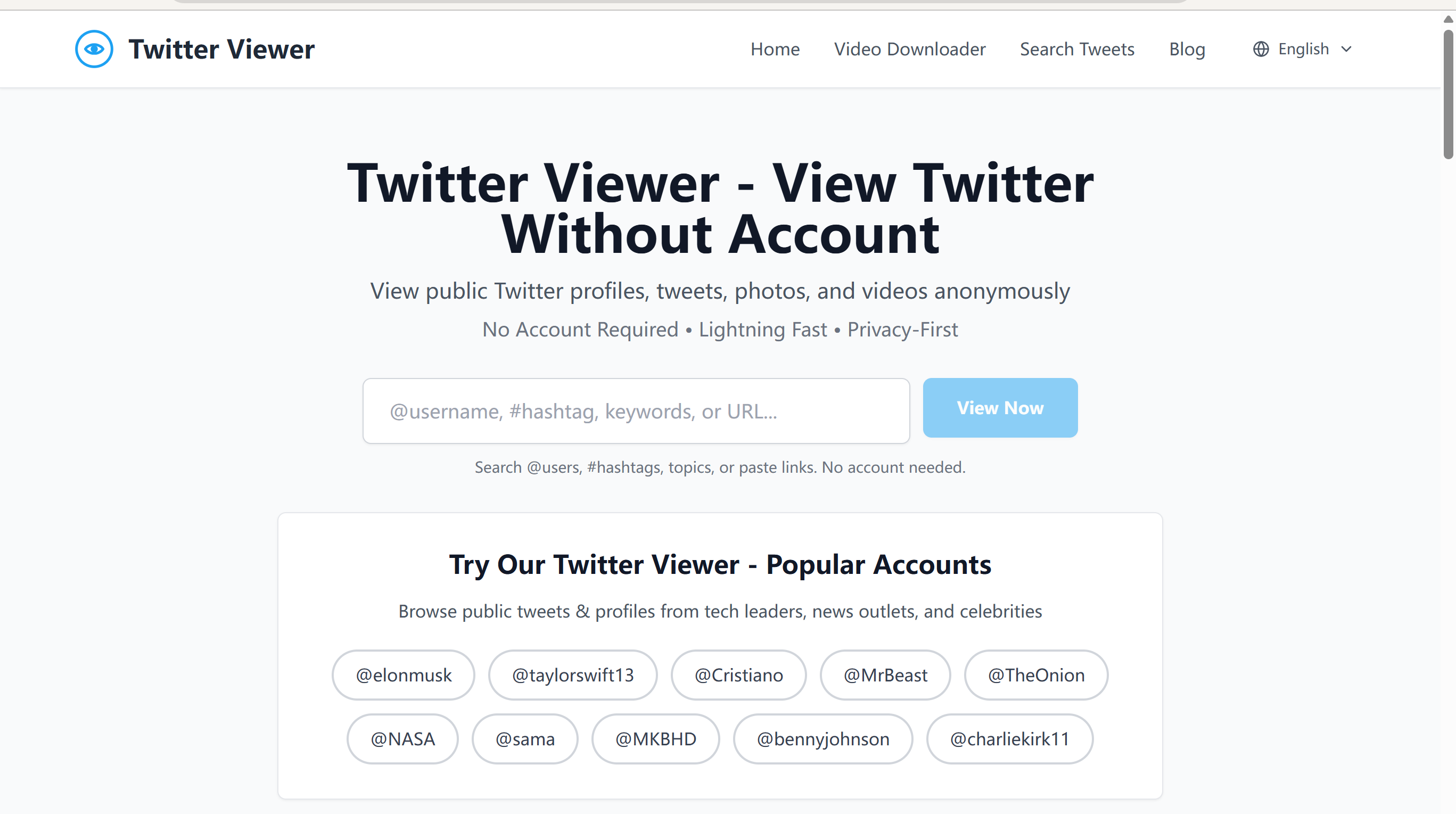 How I Engineered a Fast Twitter Viewer and Ranked It on Page 1