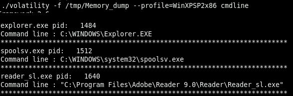 cmdline confirming reader_sl.exe was running from its legitimate install path: camouflage, not a dropped foreign binary.