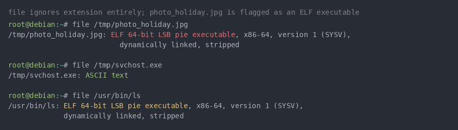 file command identifying photo_holiday.jpg as an ELF executable and svchost.exe as ASCII text