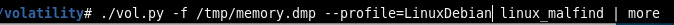 linux_malfind. No injected or unbacked executable memory regions found.