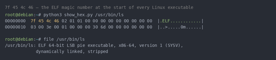 Hex dump of /usr/bin/ls showing the ELF magic number 7f 45 4c 46 at offset 0
