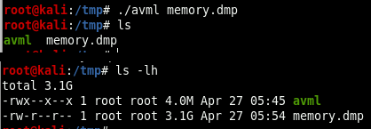 AVML acquiring a 3.1GB raw memory image from the target host.