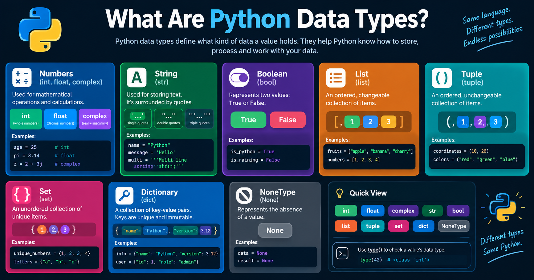 What Are Python Data Types?