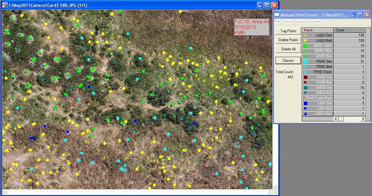 Before GSoC: How I Got Selected for GSoC at Weecology Lab , University of Florida