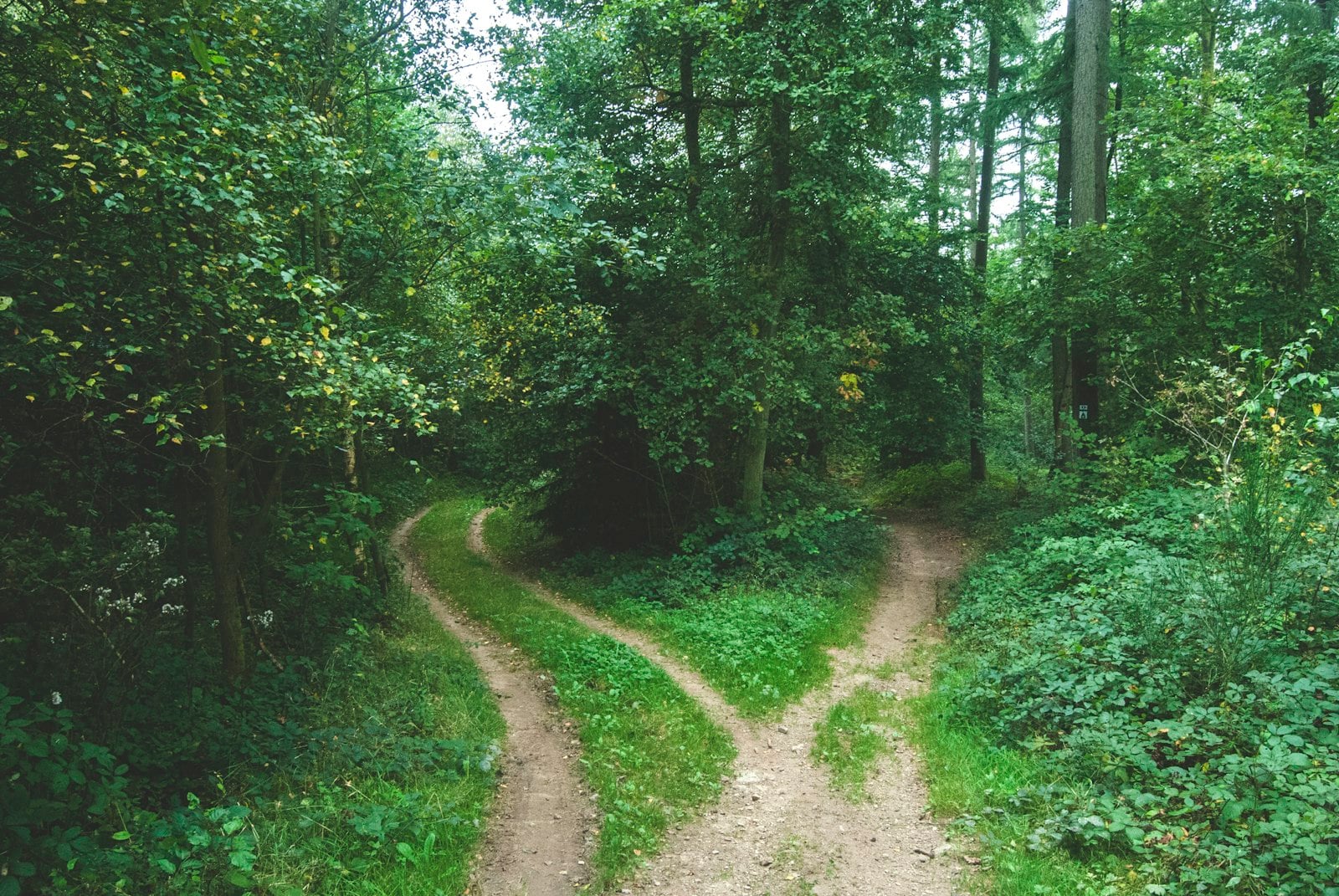 Outsourcing vs. In-House Isn't One Decision. It's Five.
