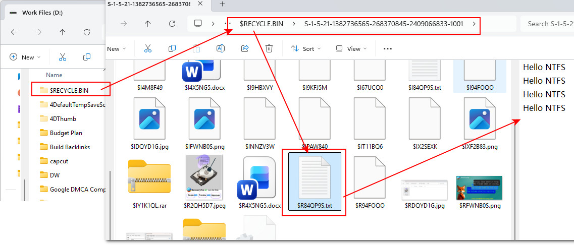 Deleted text file in the hidden recycle bin system folder