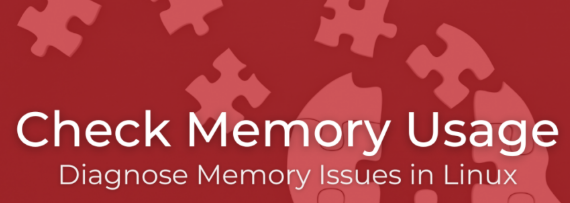 Diagnose Linux Memory