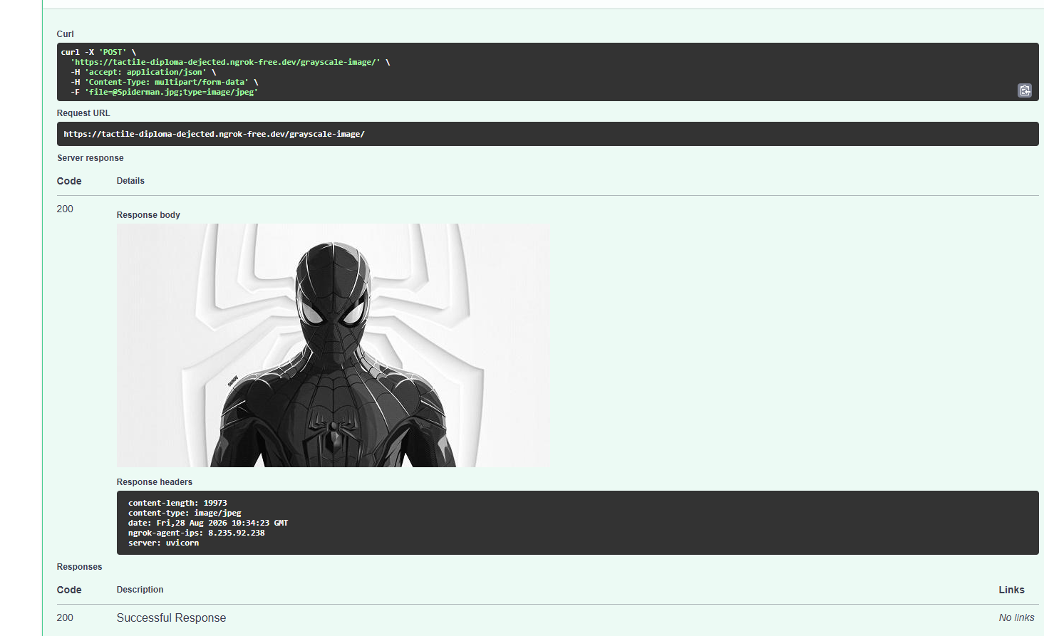 Testing result of the /grayscale-image/ endpoint via Swagger UI, server genuinely online