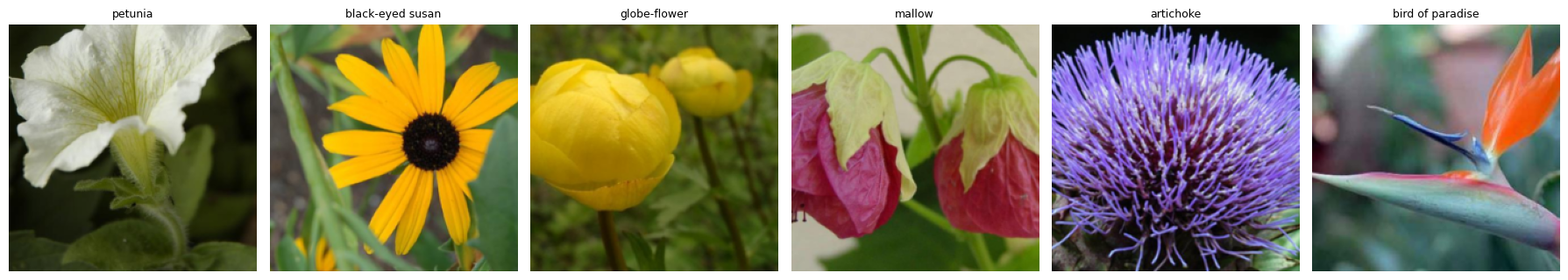 Real sample images from the Oxford Flowers 102 dataset with their class labels