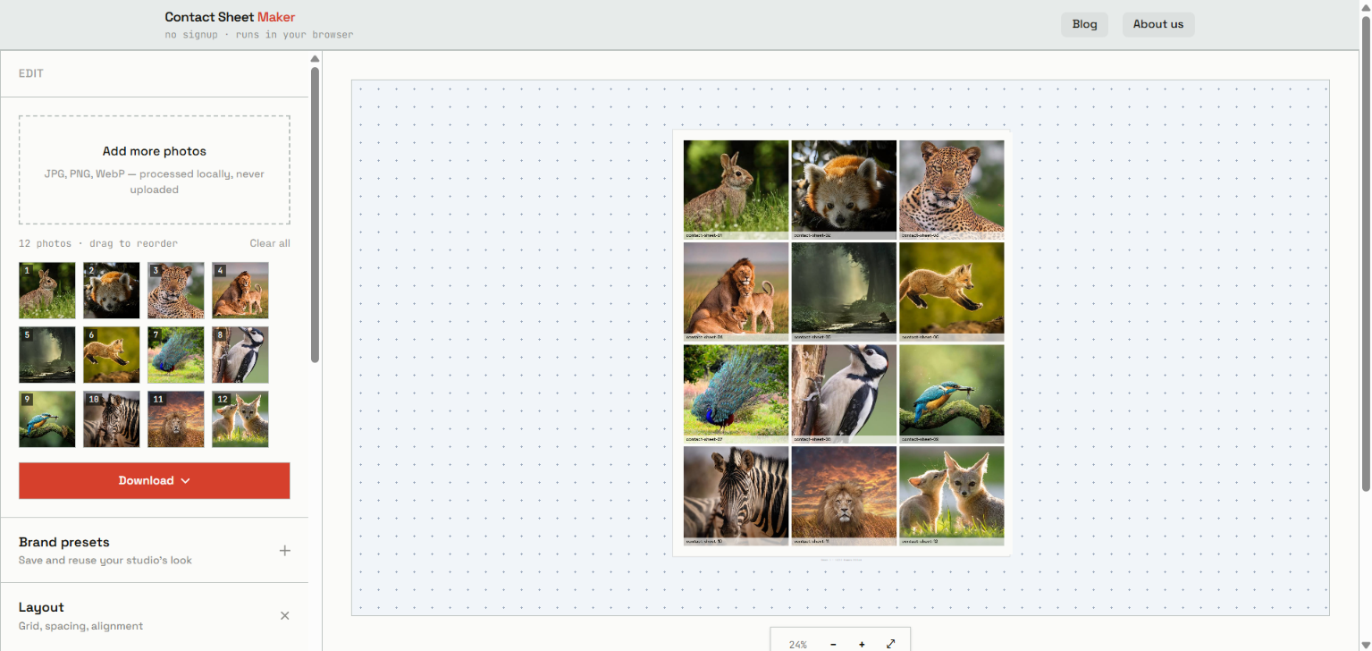 Multiple images arranged in a contact sheet grid