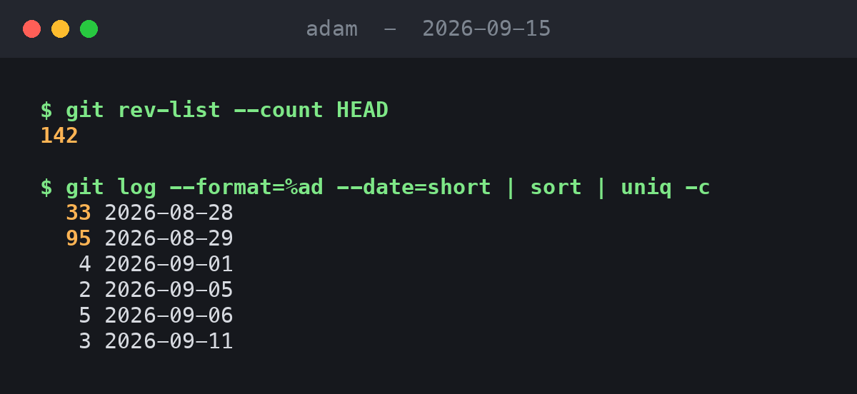 Terminal output showing a total of 142 commits, then commits per day: 33 on 28 August, 95 on 29 August, then 4, 2, 5 and 3 on later days
