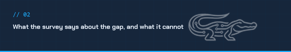 What the survey says about the gap, and what it cannot