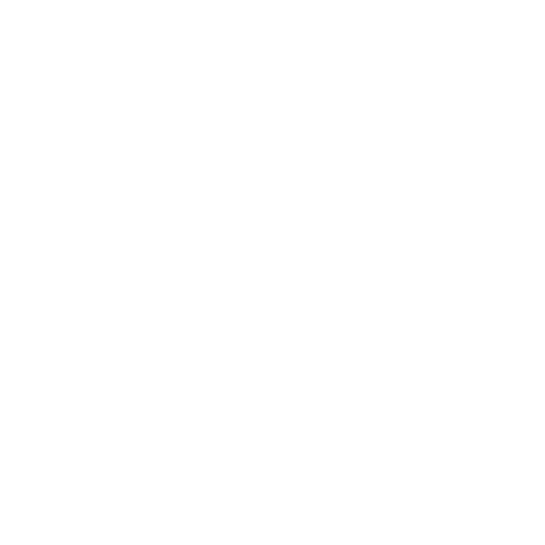 TheSiddique.