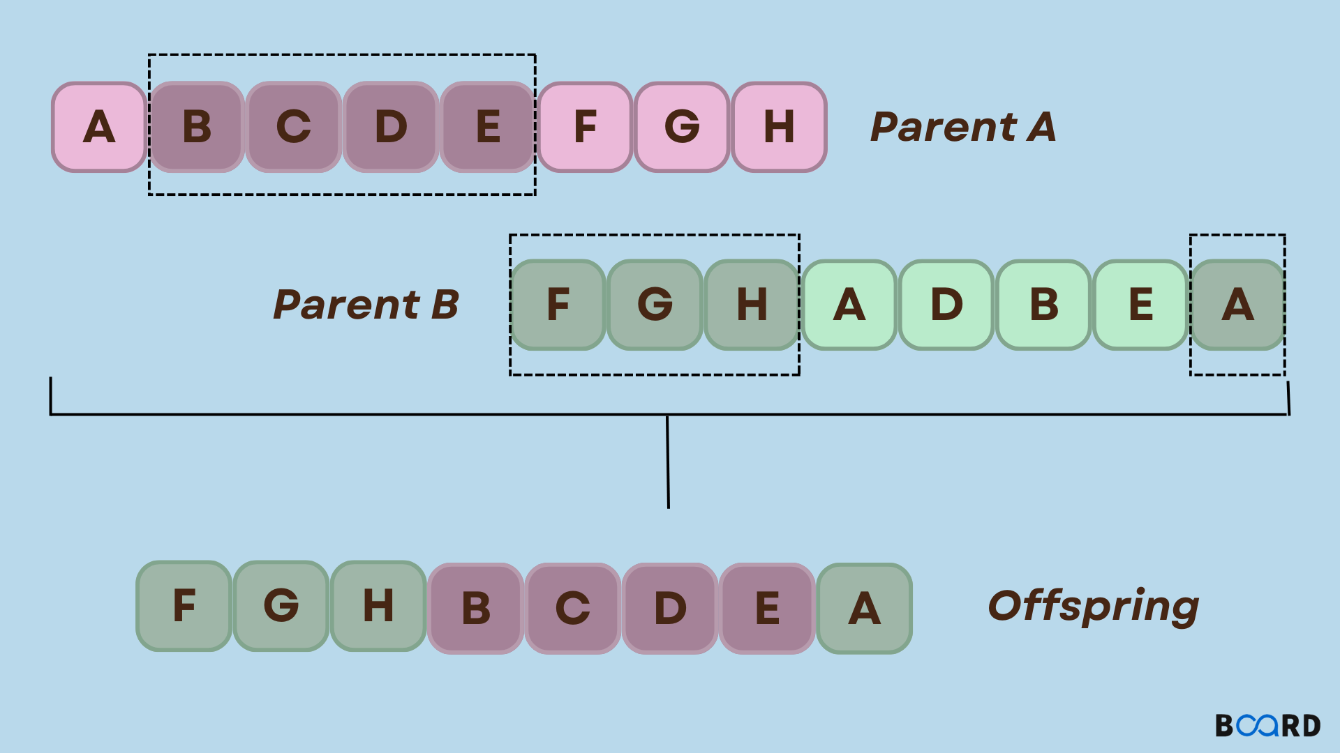 Genetic Algorithms in R