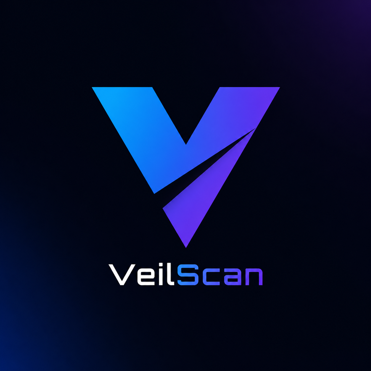 VeilScan Blog | Startup Security Guides