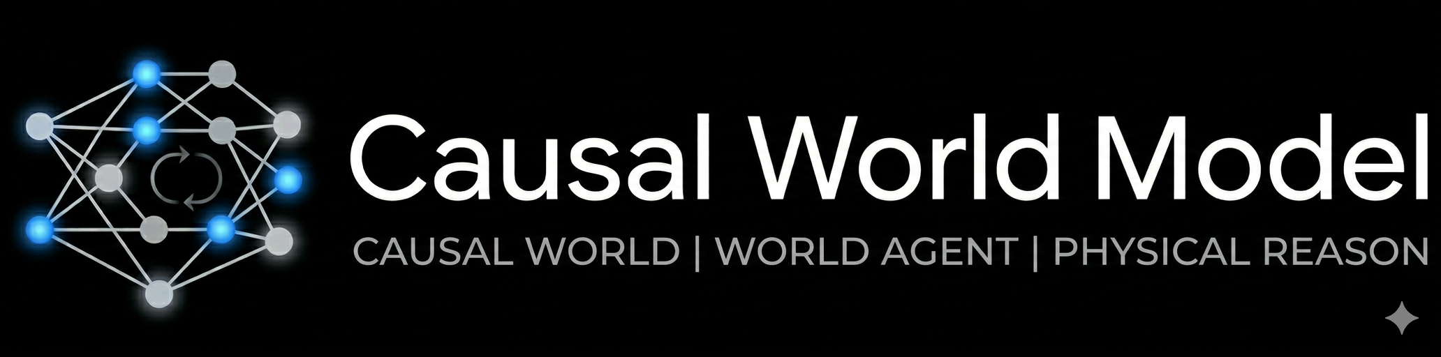 Causal World Model