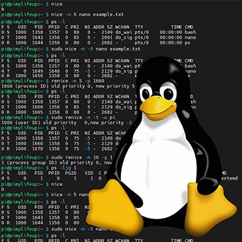 Life With Linux