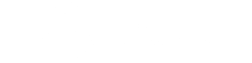 Turing Technology Services