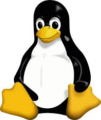 Linux Kernel Memory Allocation with Control and Data Plane