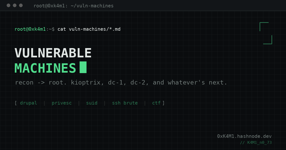 Vulnerable Machines