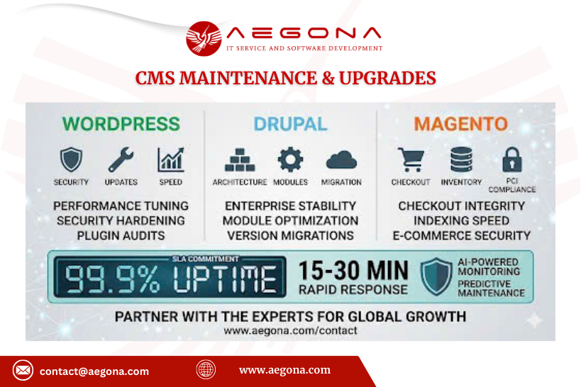 CMS Web maintenance & upgrades